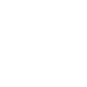 Logo Benecar Single