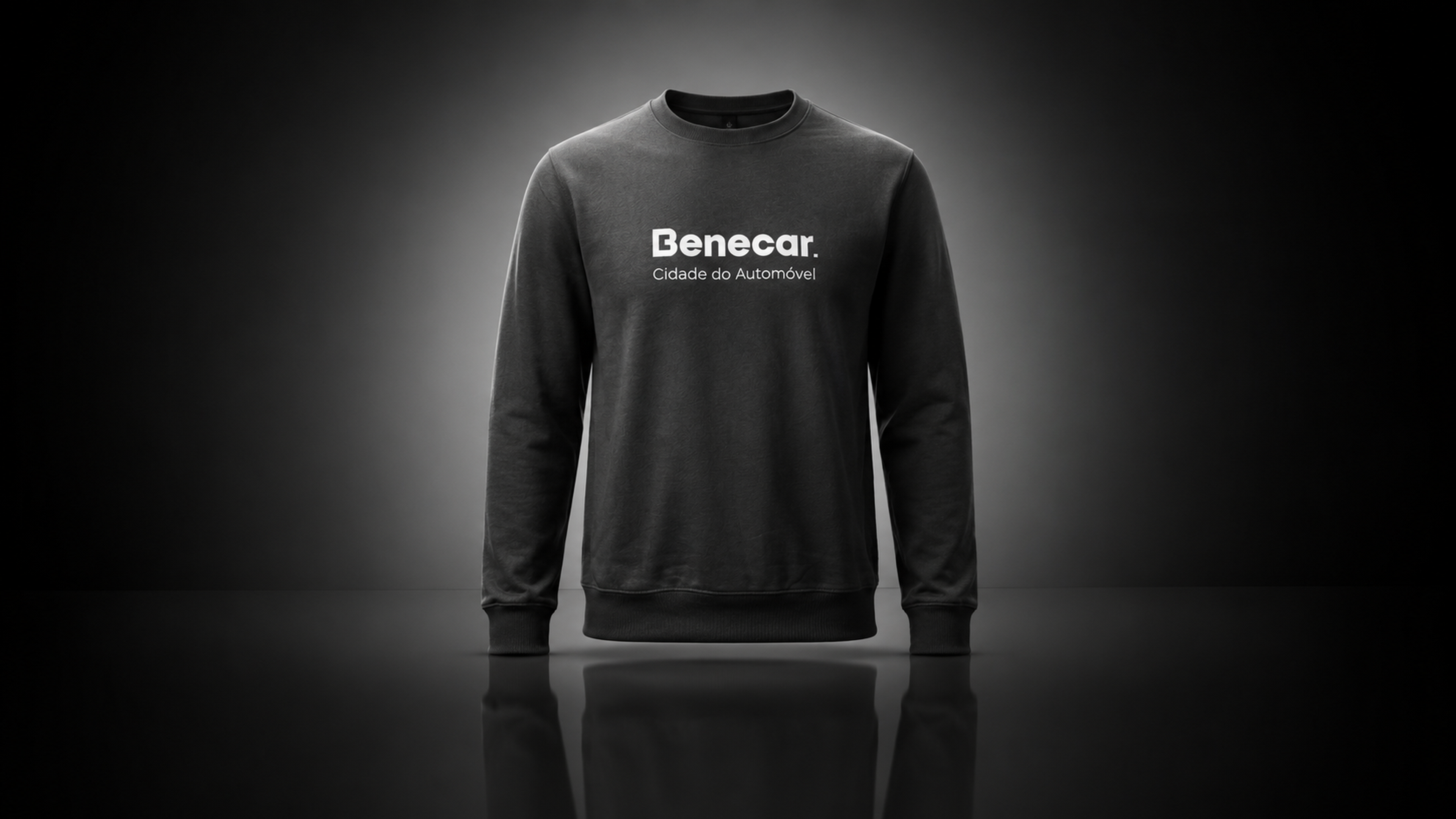 Sweatshirt Benecar variation 9