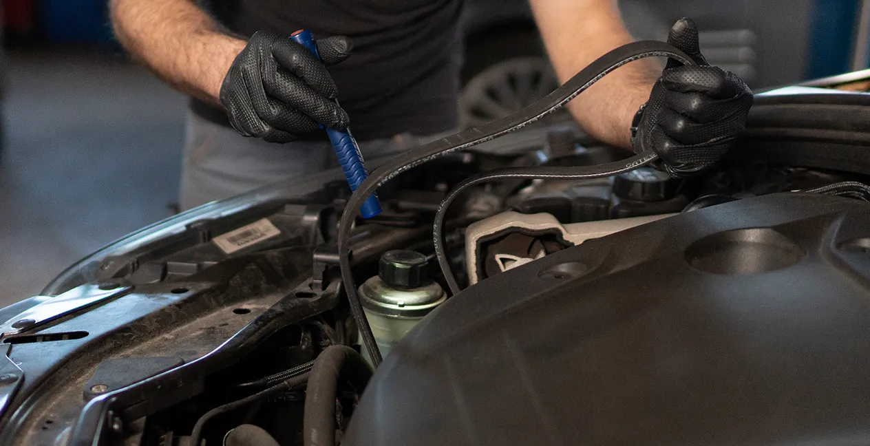 Learn all about the timing belt