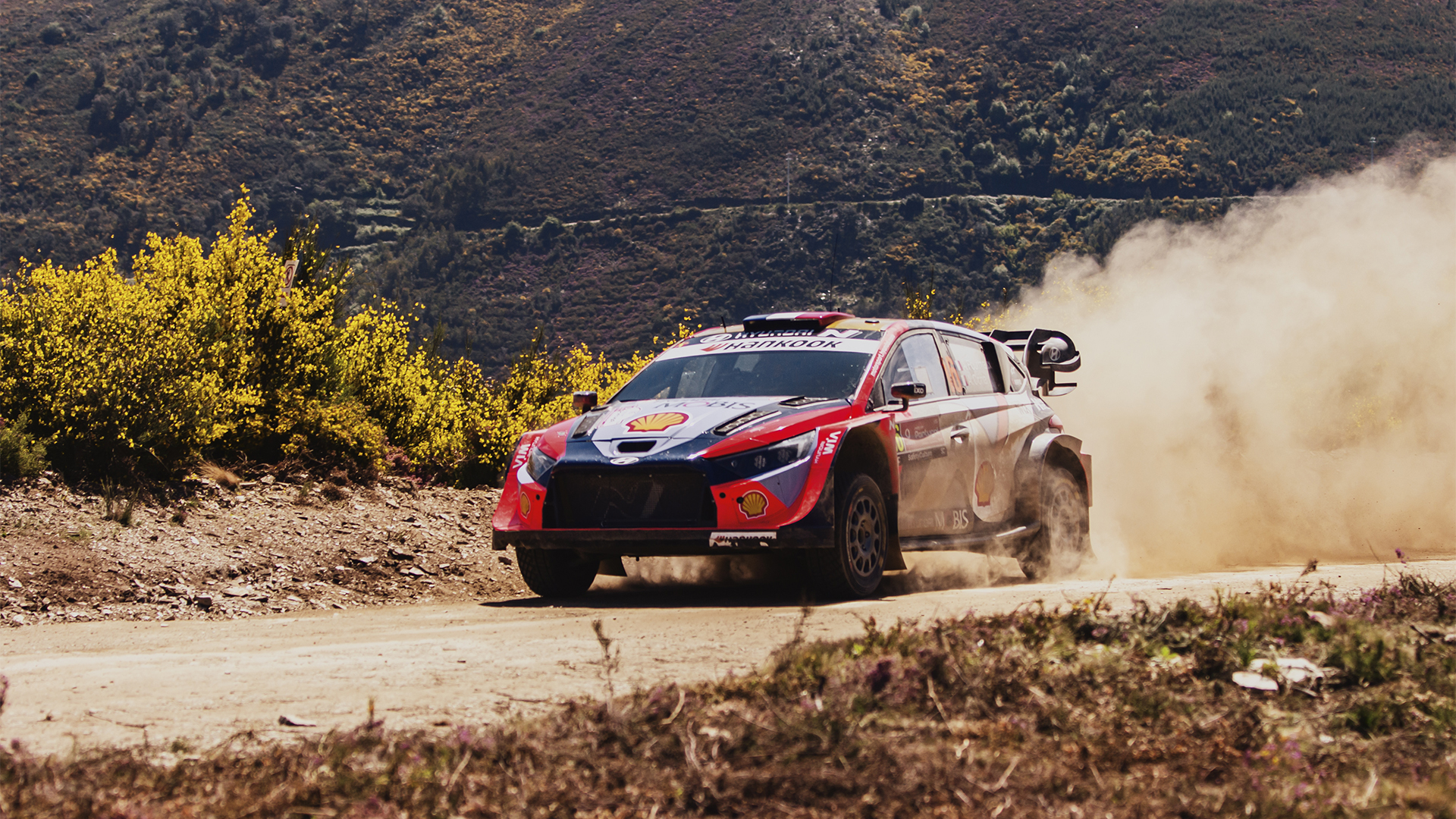 Um dia que começou às 2h30 da manhã para ver o Rally de Portugal | Galeria de Imagens 3