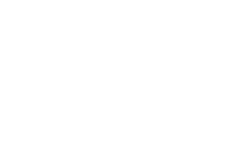 Logo Campanha Benecar