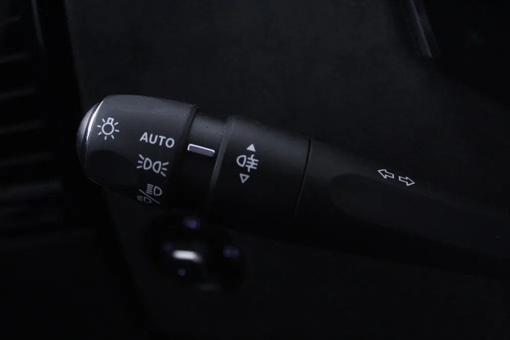 DS DS4