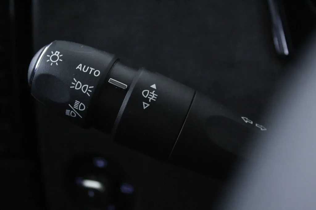 DS DS4