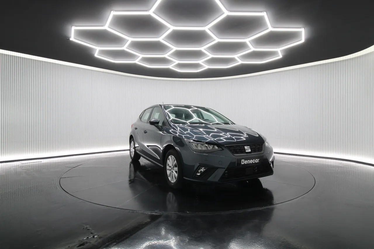 Seat Ibiza Gasoline 2 2024