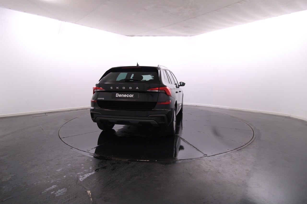 Skoda Kamiq Gasoline 5 2024